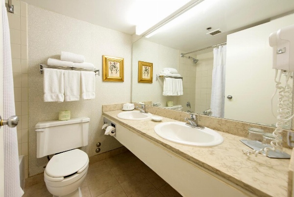 Toronto Don Valley Hotel and Suites image 4